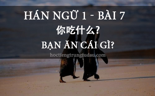 bạn ăn gì - 你吃什么