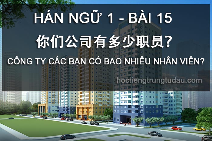 Công ty các bạn có bao nhiêu nhân viên