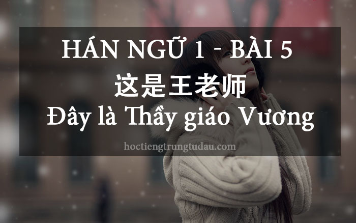 Đây là thầy giáo Vương - 这是王老师