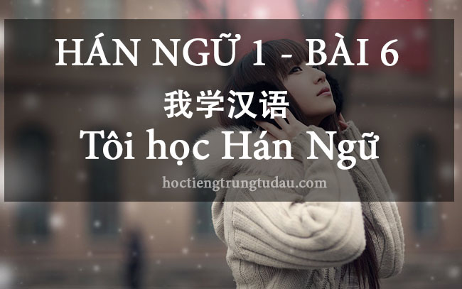 Tôi học Hán Ngữ - bài 6 我学汉语