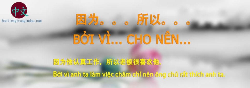 cấu trúc bởi vì cho nên